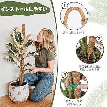 地専用植物 楽天市場】木から生まれた土 1.5Lチャック付スタンドパック袋